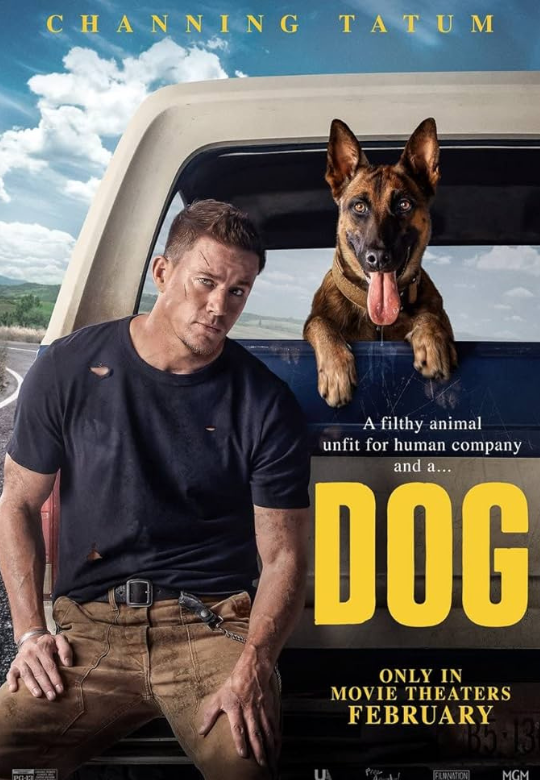 Movie poster affiche film Dog objet de film movie props tatum
