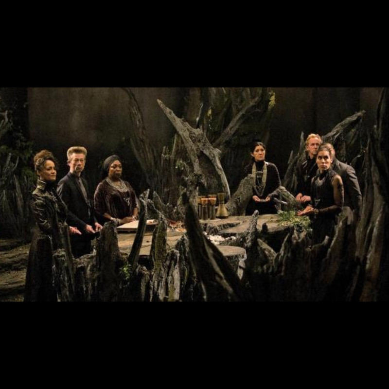 Photo du film The Last Witch Hunter avec Vin Diesel.