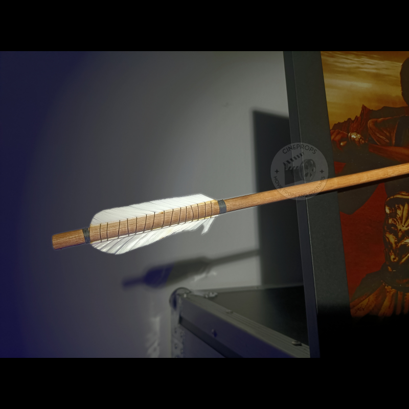 Photo objet de film cineprops original. Movie props Cinéma Immortals Cavill